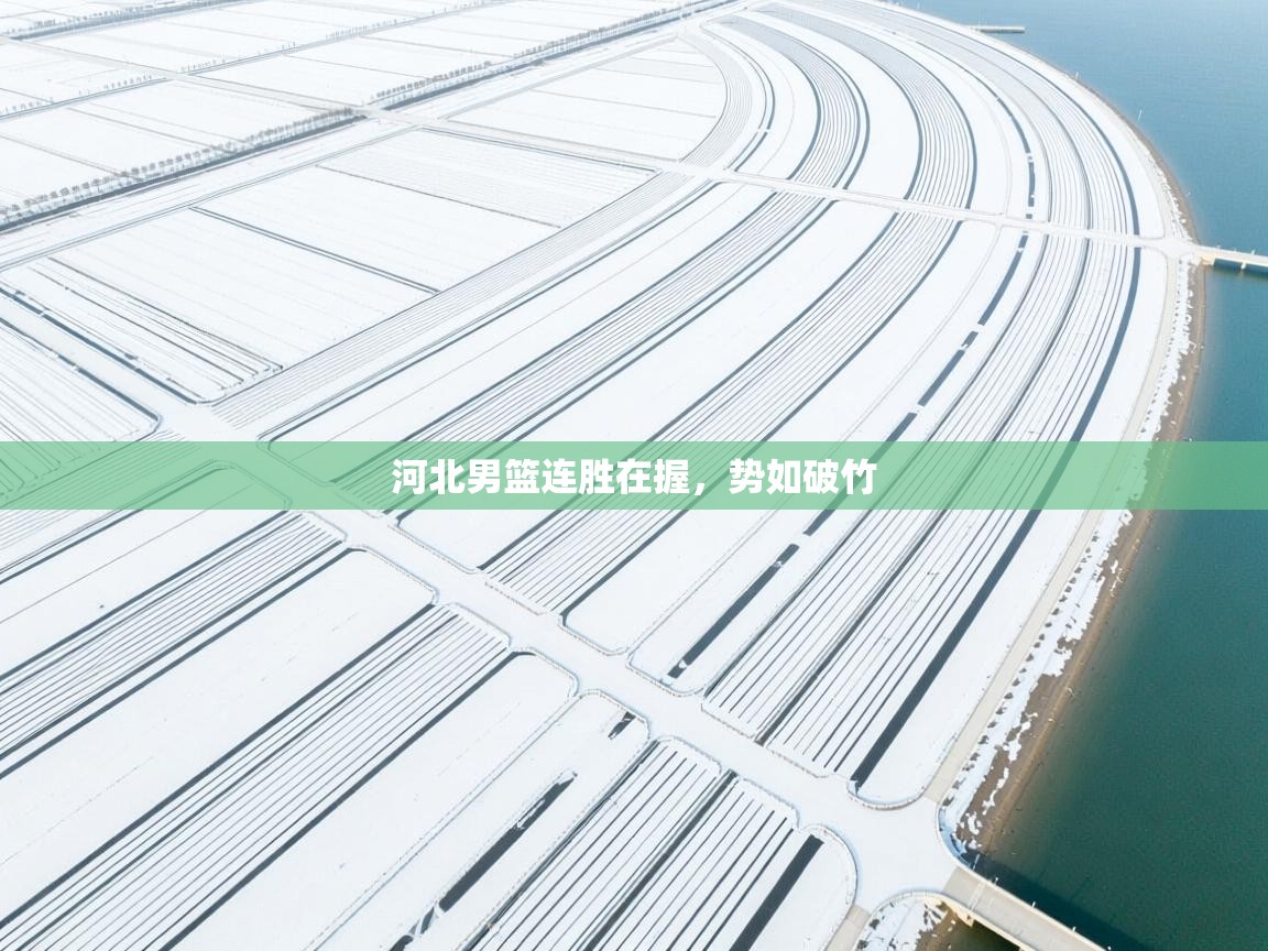 河北男篮连胜在握，势如破竹