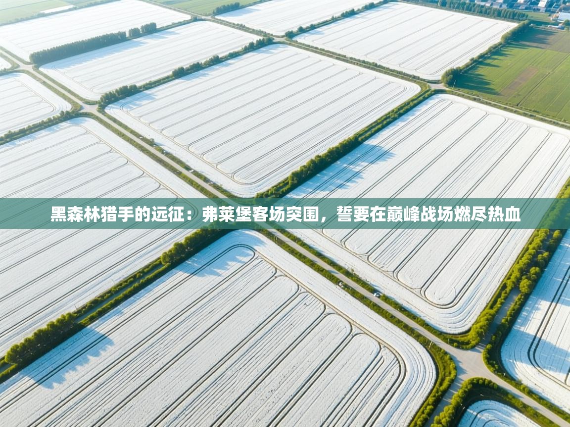 黑森林猎手的远征：弗莱堡客场突围，誓要在巅峰战场燃尽热血