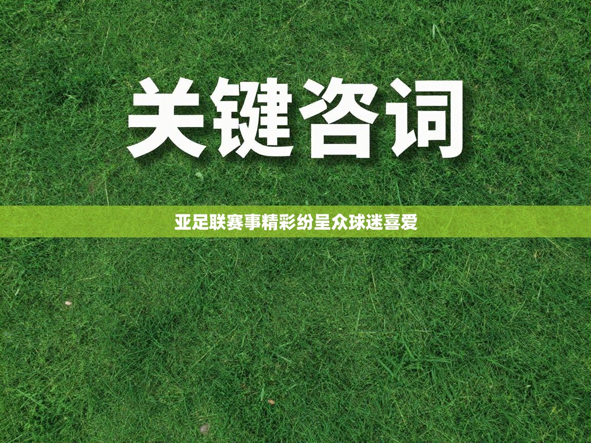 亚足联赛事精彩纷呈众球迷喜爱 第2张